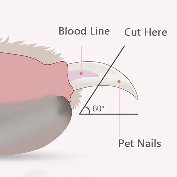 Pet Nail Clippers with Light
